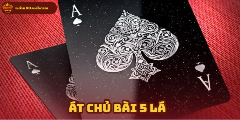 Át Chủ Bài 5 Lá – Chiến Thuật Vàng Khi Chơi Xì Dách 7 at chu bai 5 la anh dai dien