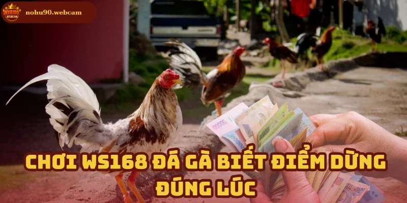 Ws168 Đá Gà - Trải nghiệm đỉnh cao cùng đam mê chiến kê 3 Dừng đúng lúc – Bí quyết giữ vững lợi nhuận