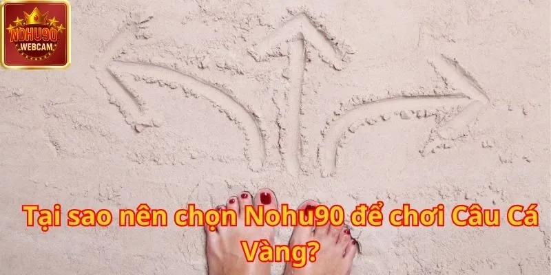 Câu Cá Vàng tại Nohu90 – Cuộc săn thưởng hấp dẫn dưới lòng đại dương 3 Câu Cá Vàng