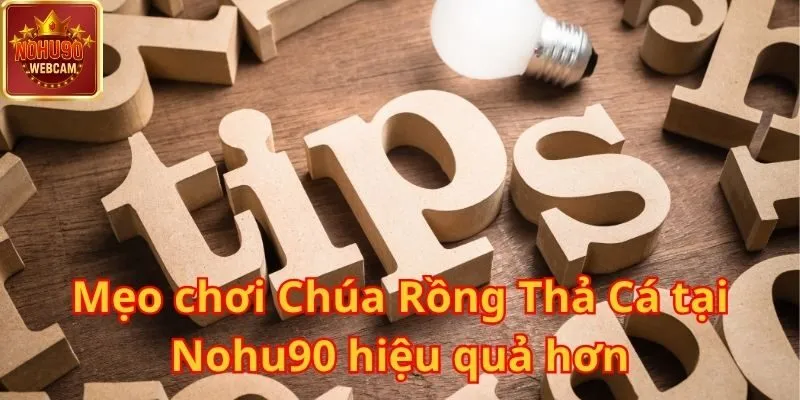 Chúa Rồng Thả Cá tại Nohu90 – Cuộc phiêu lưu dưới đáy đại dương hấp dẫn 2 Chúa Rồng Thả Cá