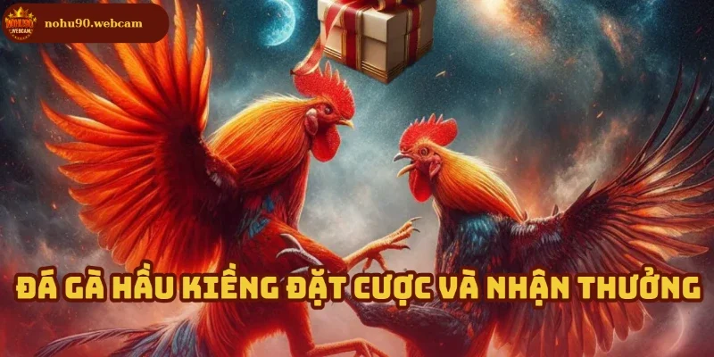 Đá Gà Hầu Kiềng Nohu90 – Nơi hội tụ những chiến kê đỉnh nhất 3 Bắt cược thông minh, nhận thưởng dễ dàng