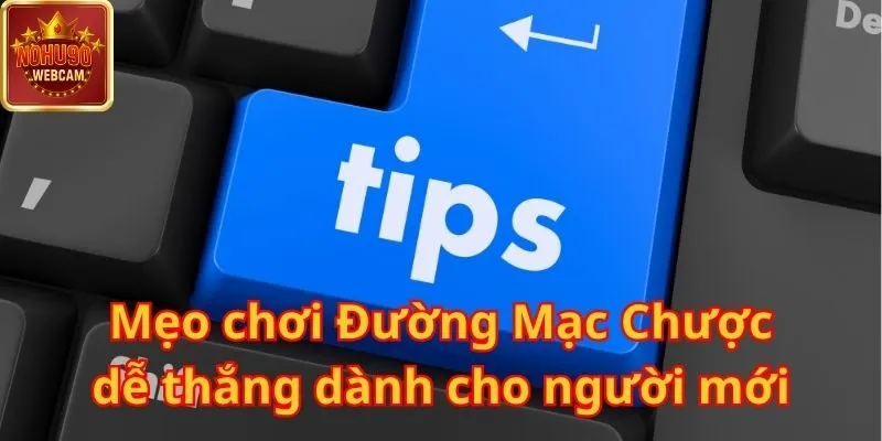 Khám phá Đường Mạc Chược – Trải nghiệm giải trí đỉnh cao tại Nohu90 2 Đường Mạc Chược