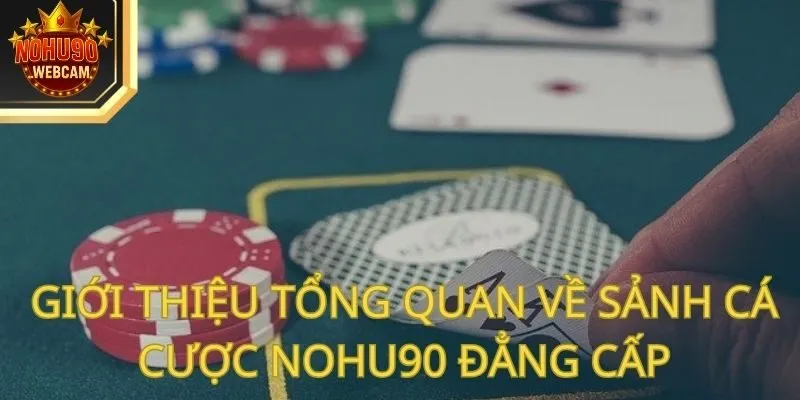 Nohu90 - Hé Lộ Sân Chơi Cá Cược Đỉnh Cao Từ A - Z Cho Game Thủ 54 Giới thiệu tổng quan về sảnh cá cược Nohu90 đẳng cấp
