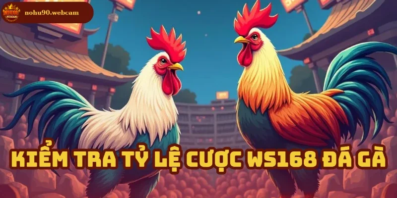 Ws168 Đá Gà - Trải nghiệm đỉnh cao cùng đam mê chiến kê 5 Cập nhật tỷ lệ cược để đặt kèo chính xác