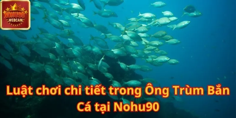 Ông Trùm Bắn Cá tại Nohu90 – Cuộc săn thưởng đỉnh cao đầy hấp dẫn 1 Ông Trùm Bắn Cá