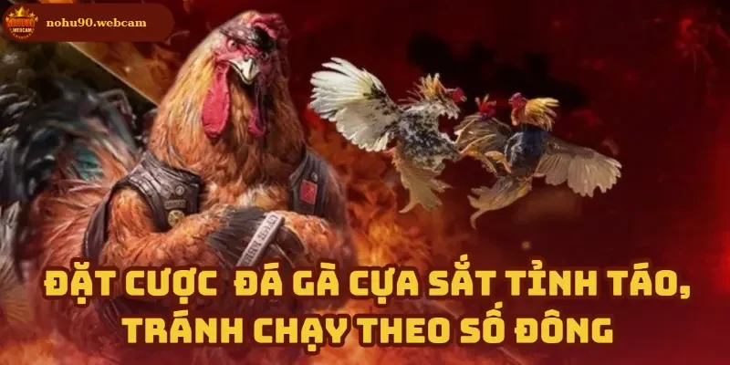 Đá Gà Cựa Sắt – Nền tảng truyền thống kịch tính tại Nohu90 4 Cược khôn ngoan trong mỗi ván đấu đông người