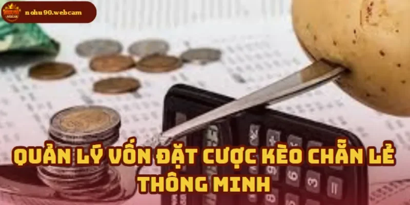 Kèo Chẵn Lẻ là gì? Bí quyết chơi hiệu quả trên Nohu90 2 Đặt cược không lo cháy ví - Mẹo quản lý vốn thông minh